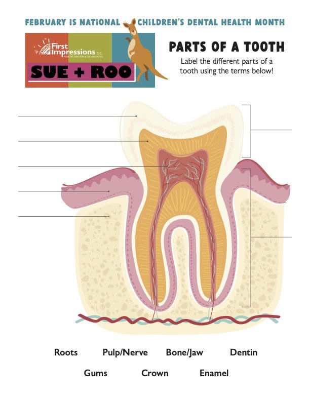 National Children's Dental Health Month | First Impressions Pediatric ...